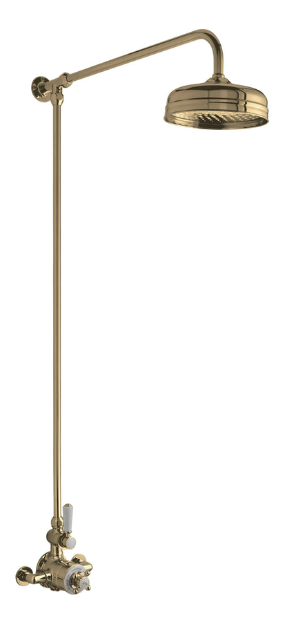 Fairford Winchester Pro Brushed Brass Single Outlet Shower Kit