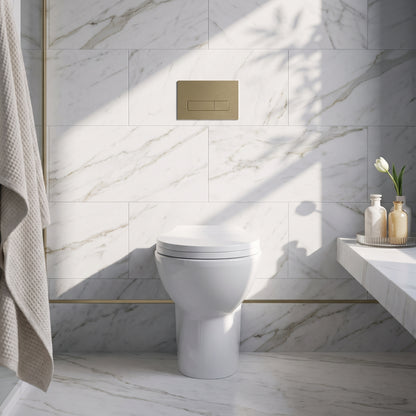Fairford Tiber Back To Wall Toilet with Soft Close Seat