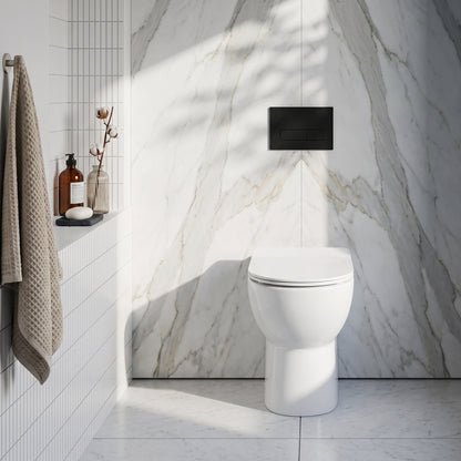 Fairford Palio Rimless Back To Wall Toilet with Slim Soft Close Seat