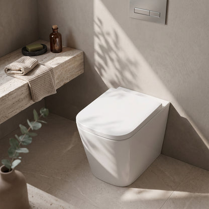 Fairford Loren Pro Back To Wall Toilet