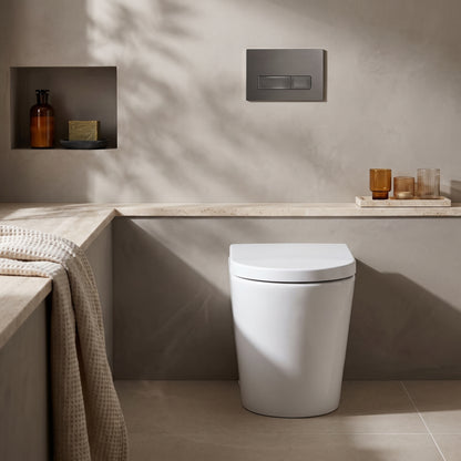 Fairford Handel Pro Short Projection Back To Wall Toilet