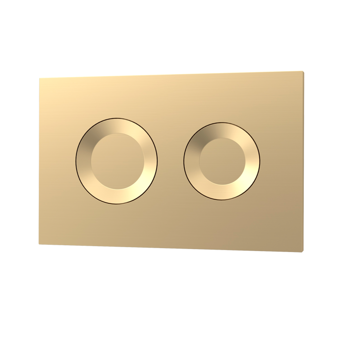Fairford Brushed Brass Round Dual Flush Plate