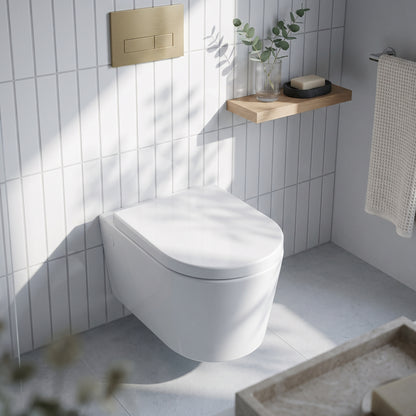 Fairford Handel Pro Wall Hung Toilet with Seat